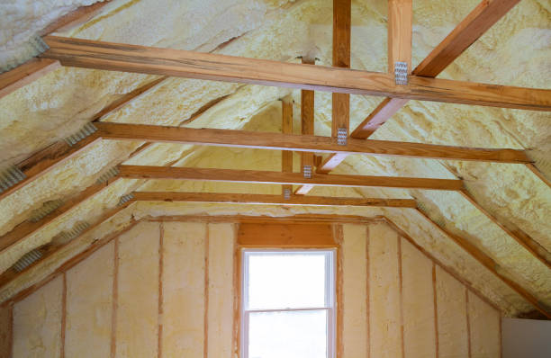 Best Commercial Insulation in Fort Defiance, AZ