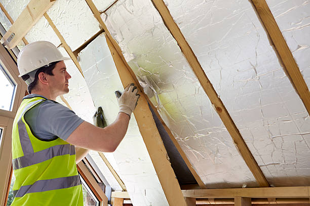 Best Insulation Installation Services in Fort Defiance, AZ