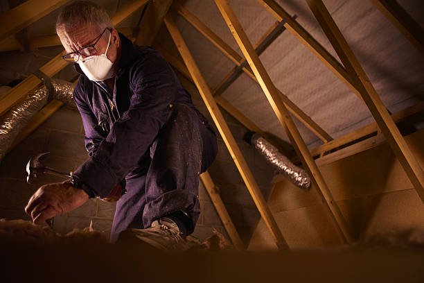 Best Commercial Insulation in Fort Defiance, AZ