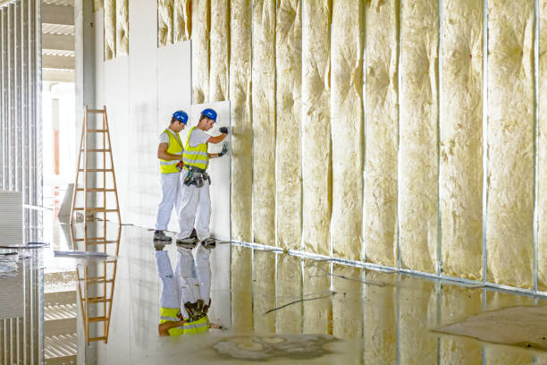 Best Insulation Maintenance and Repair in Fort Defiance, AZ